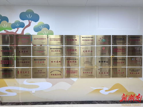 守护生命，昼夜不停——湖南省直中医医院动物致伤门诊24小时接诊正式开诊